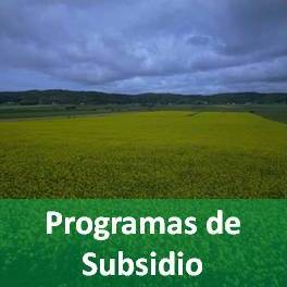 Programas de subsidio