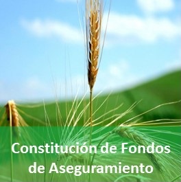 Constitución de Fondos de Aseguramiento